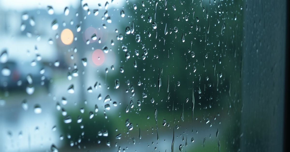 Unlocking the Power of kaaaaaaadrizzle: The Ultimate Guide for 2026